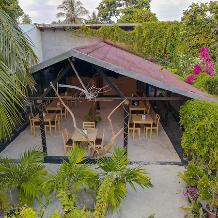 Turtle Maldives - Your Gateway To The Beach & Marine Adventures Await! Omadhoo Экстерьер фото