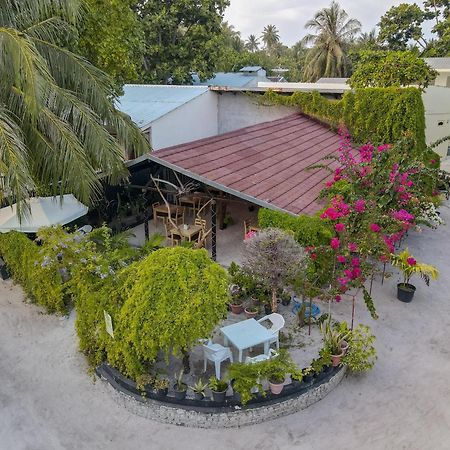 Turtle Maldives - Your Gateway To The Beach & Marine Adventures Await! Omadhoo Экстерьер фото
