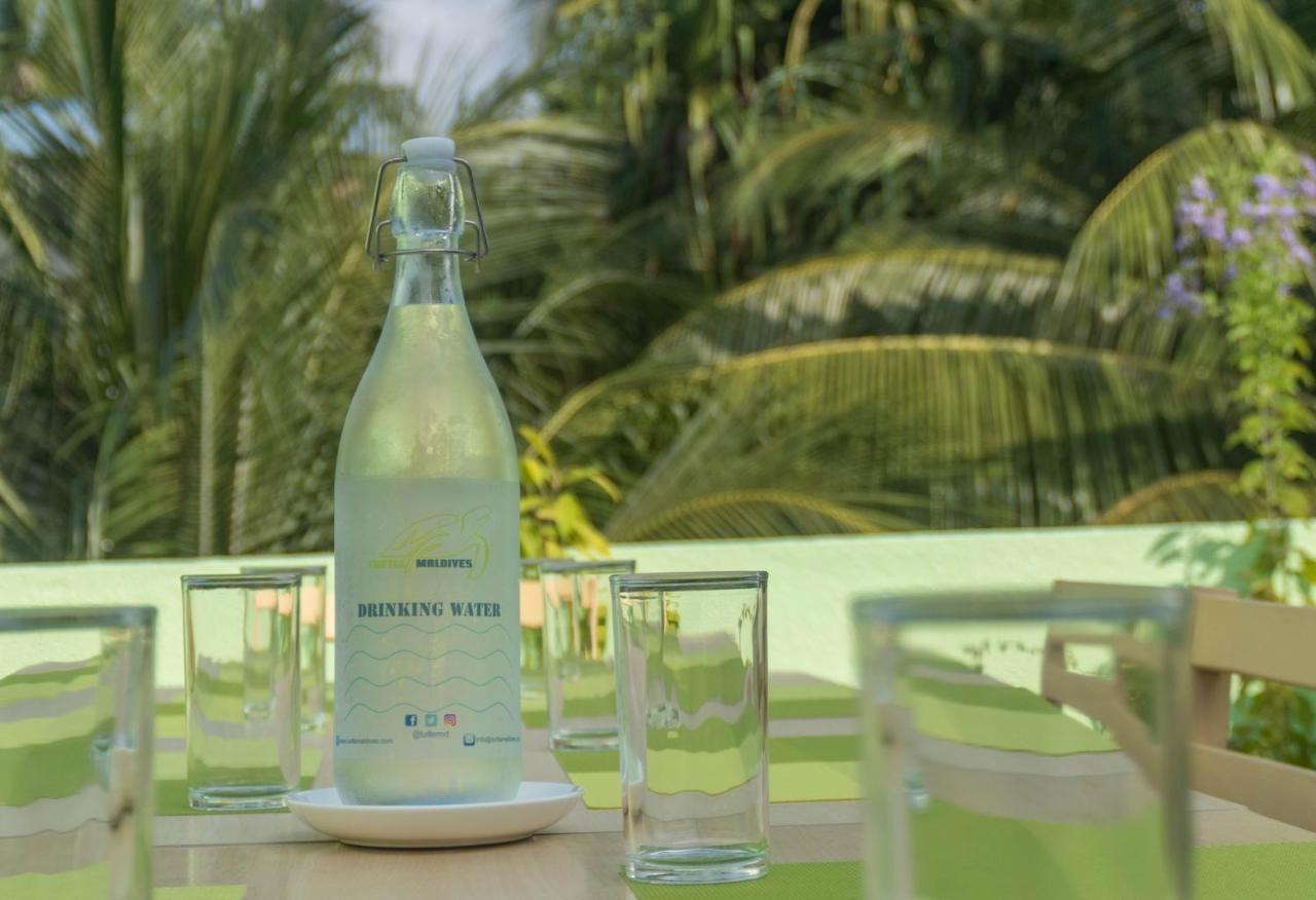 Turtle Maldives - Your Gateway To The Beach & Marine Adventures Await! Omadhoo Экстерьер фото