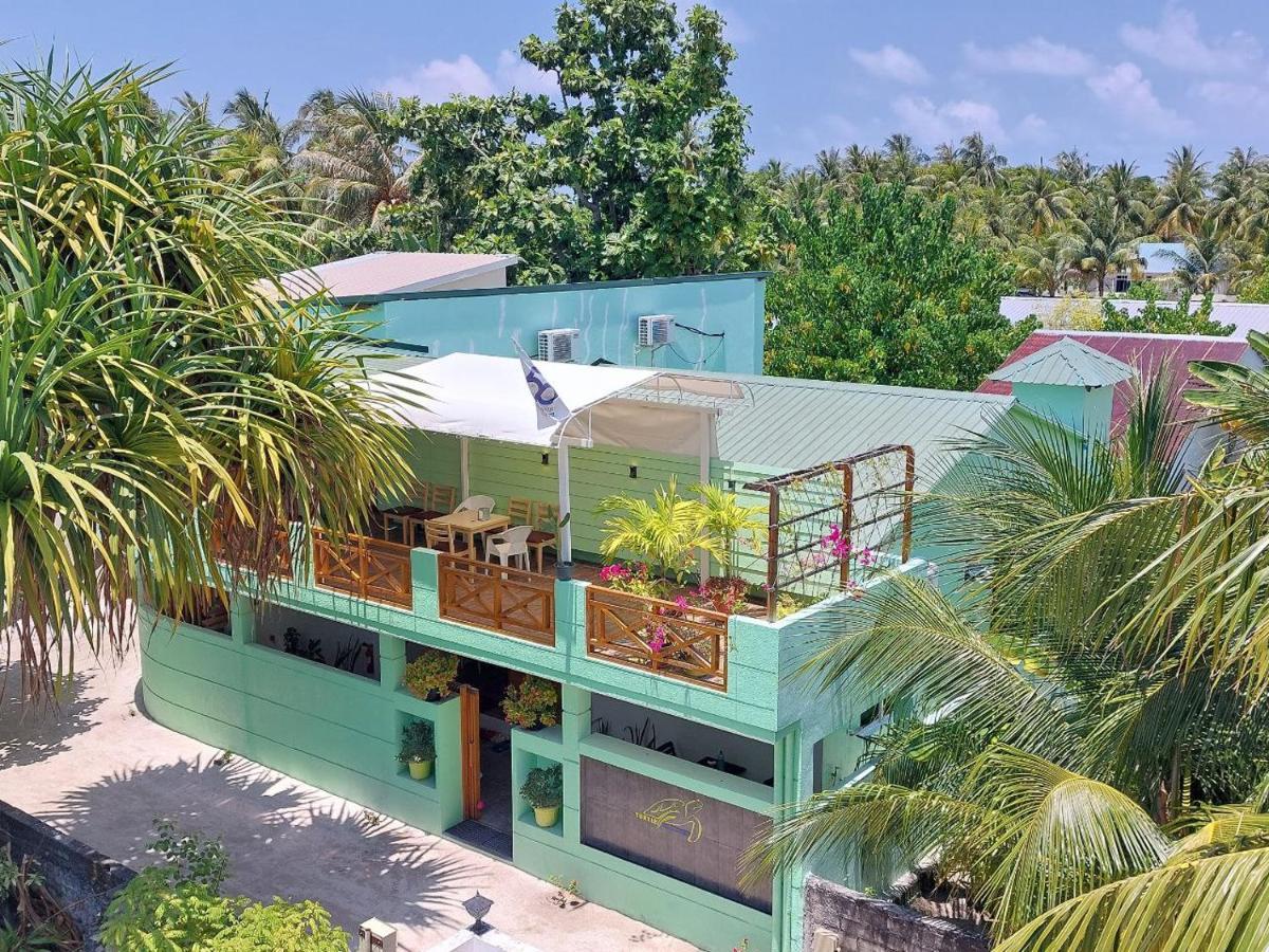 Turtle Maldives - Your Gateway To The Beach & Marine Adventures Await! Omadhoo Экстерьер фото