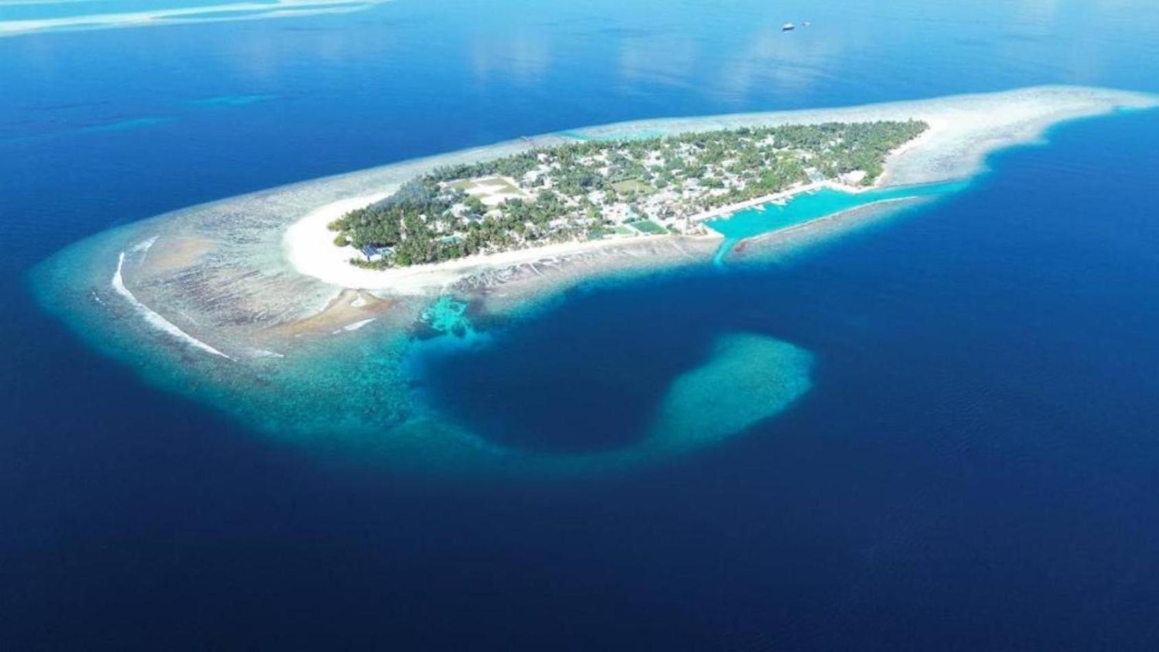 Turtle Maldives - Your Gateway To The Beach & Marine Adventures Await! Omadhoo Экстерьер фото