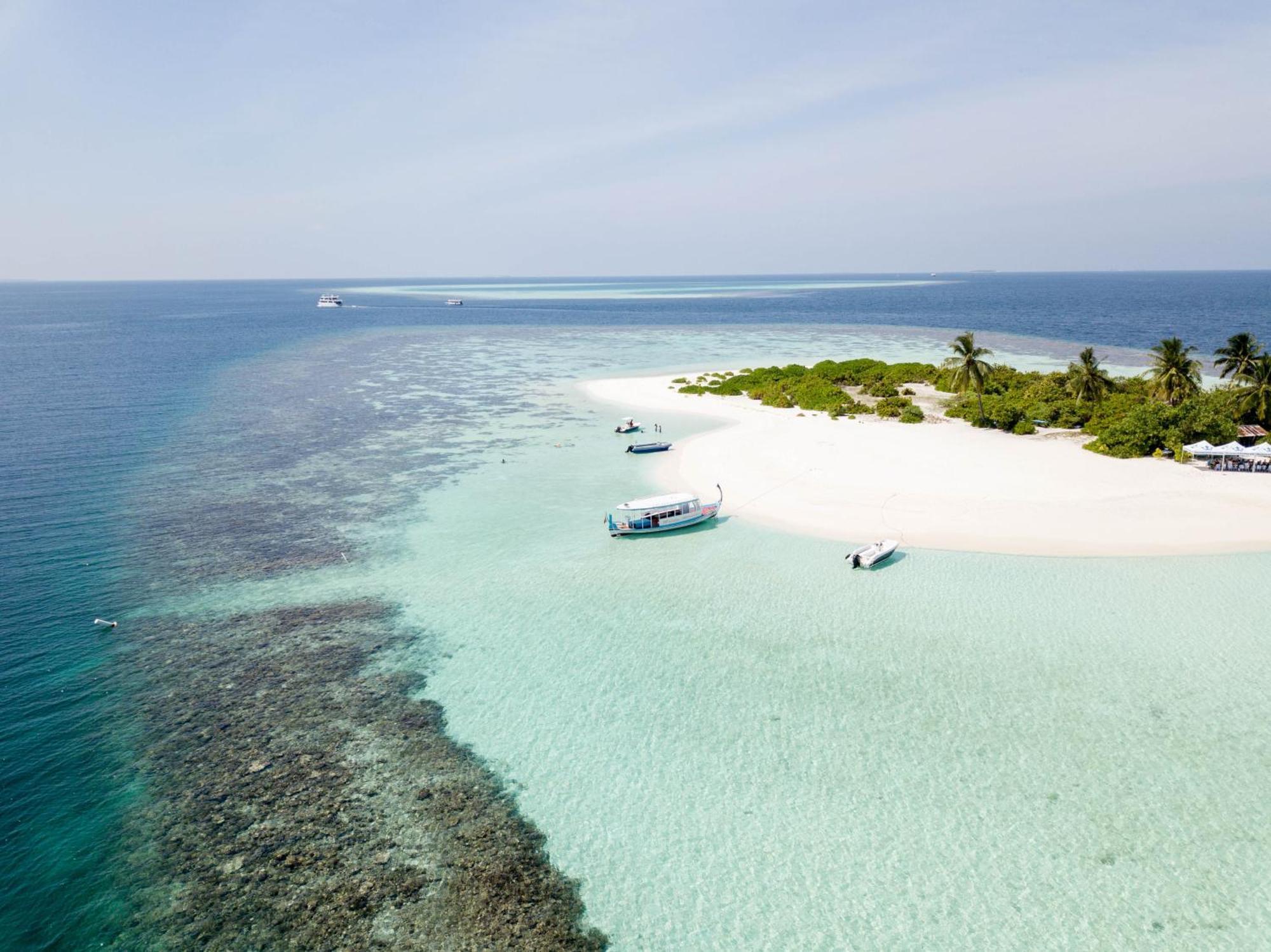 Turtle Maldives - Your Gateway To The Beach & Marine Adventures Await! Omadhoo Экстерьер фото