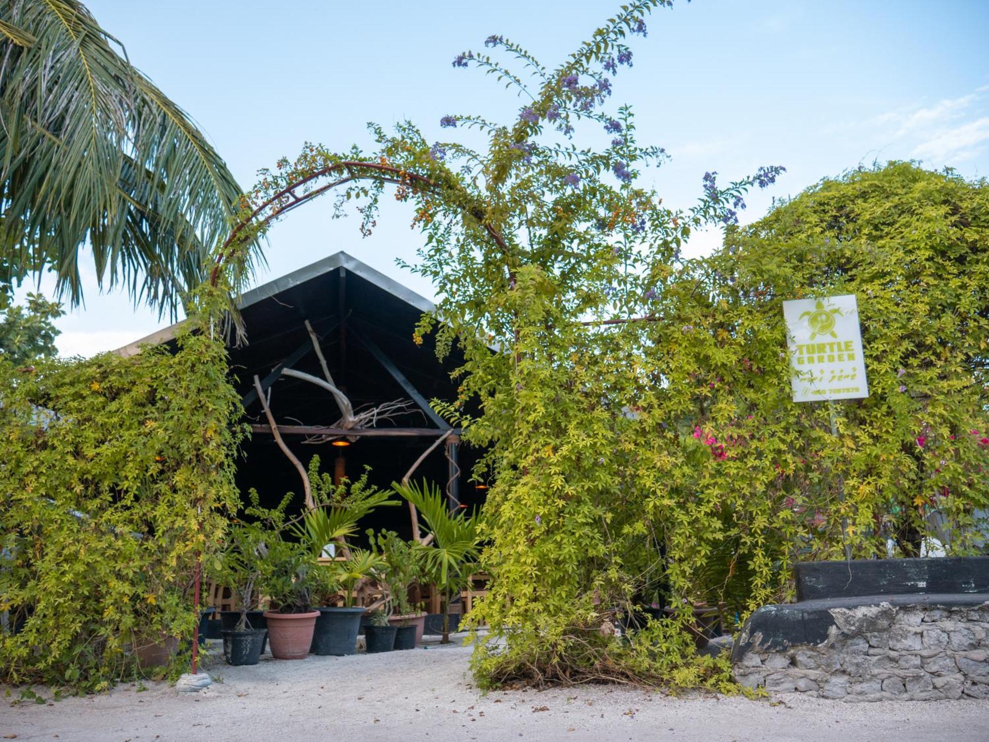 Turtle Maldives - Your Gateway To The Beach & Marine Adventures Await! Omadhoo Экстерьер фото