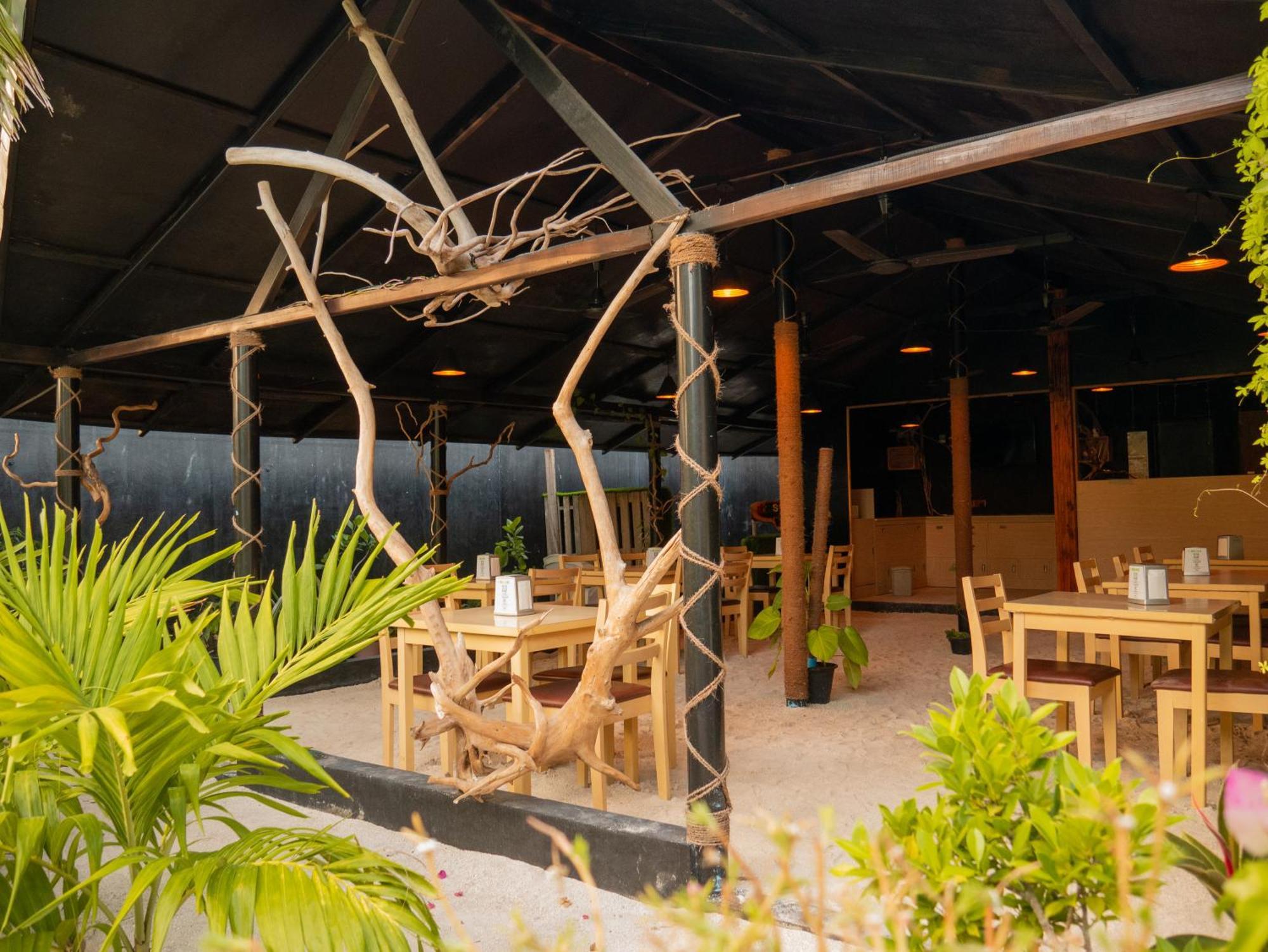 Turtle Maldives - Your Gateway To The Beach & Marine Adventures Await! Omadhoo Экстерьер фото