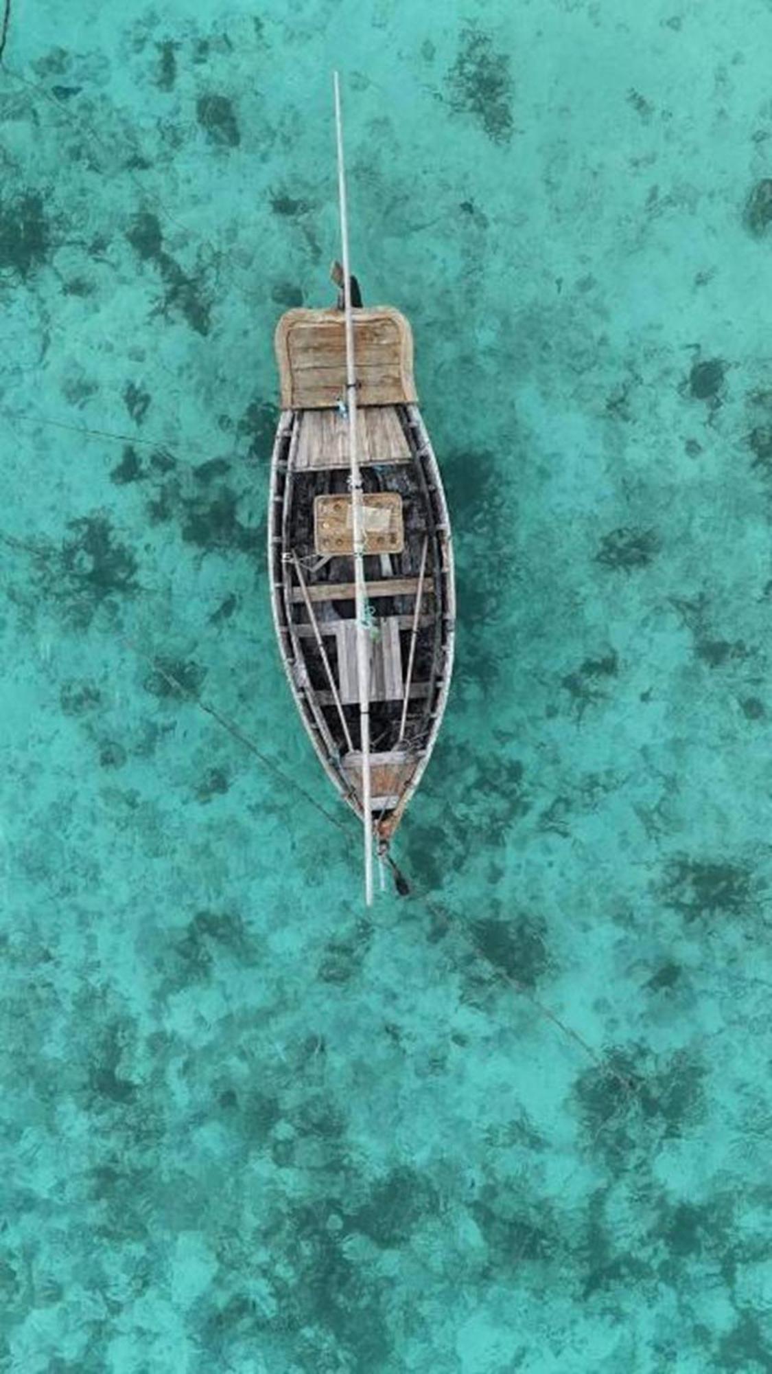 Turtle Maldives - Your Gateway To The Beach & Marine Adventures Await! Omadhoo Экстерьер фото