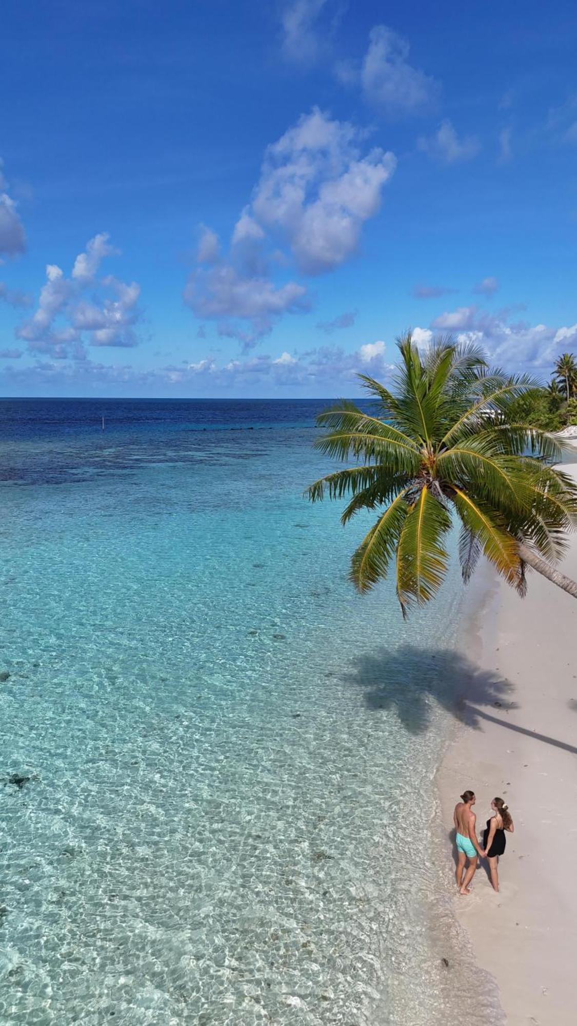 Turtle Maldives - Your Gateway To The Beach & Marine Adventures Await! Omadhoo Экстерьер фото