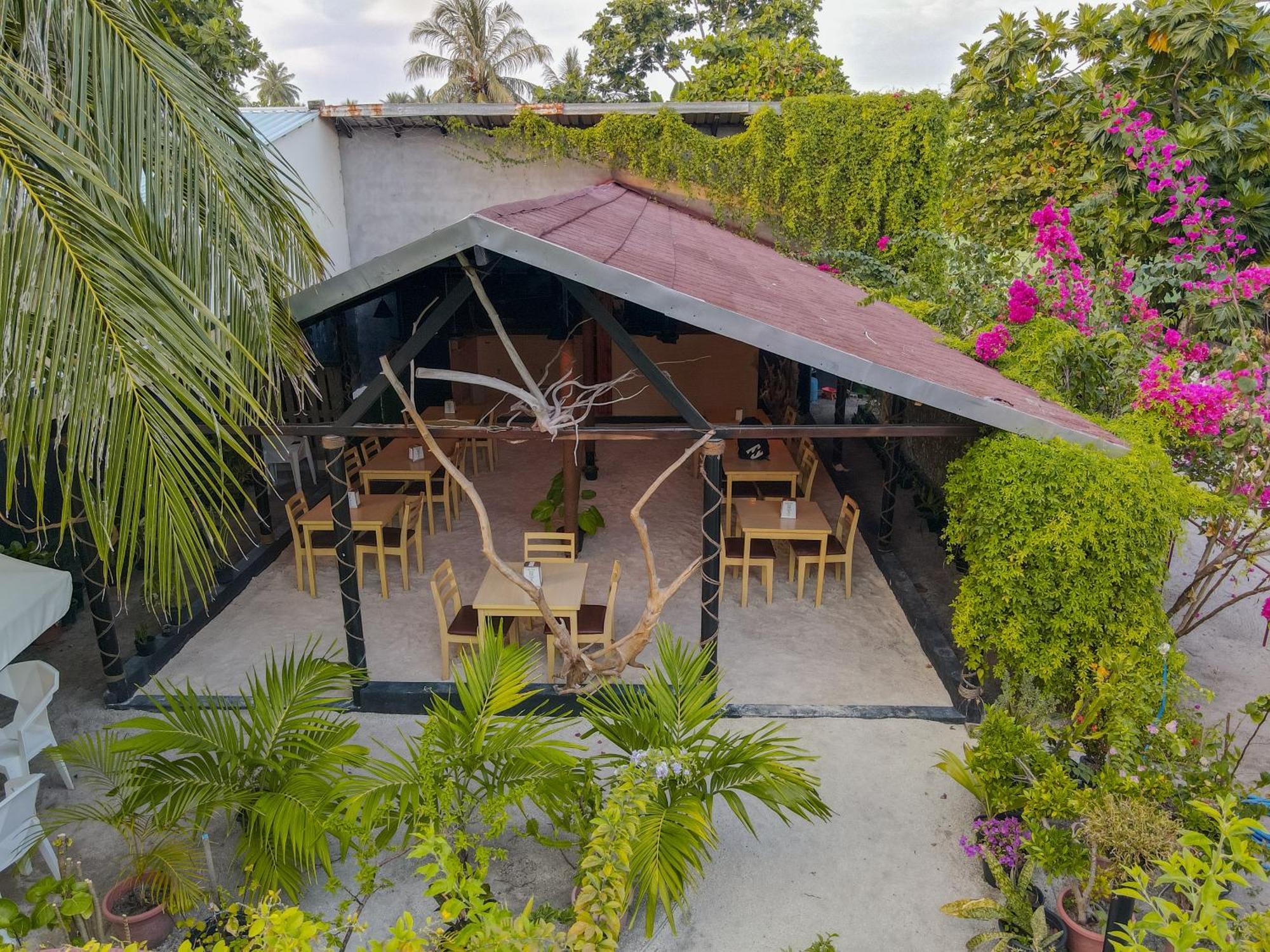 Turtle Maldives - Your Gateway To The Beach & Marine Adventures Await! Omadhoo Экстерьер фото