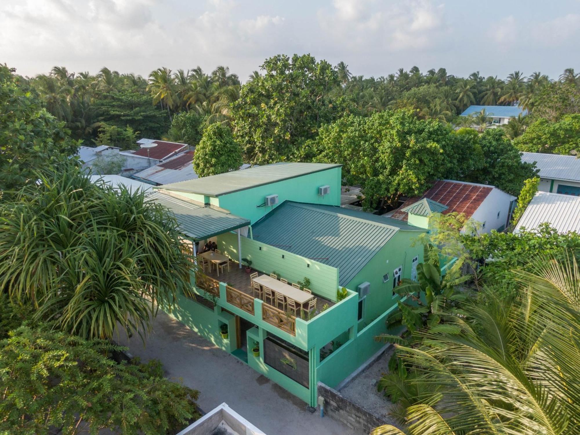Turtle Maldives - Your Gateway To The Beach & Marine Adventures Await! Omadhoo Экстерьер фото
