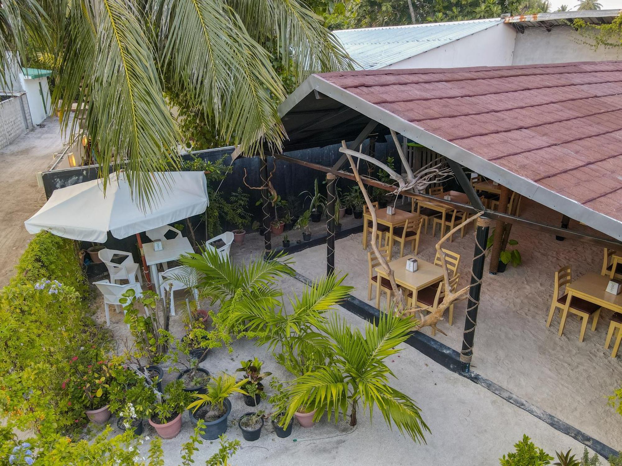 Turtle Maldives - Your Gateway To The Beach & Marine Adventures Await! Omadhoo Экстерьер фото